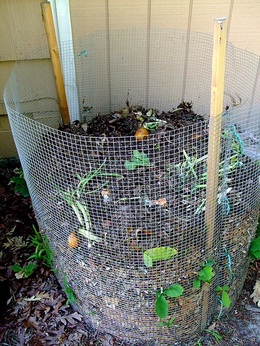 Compost Bin