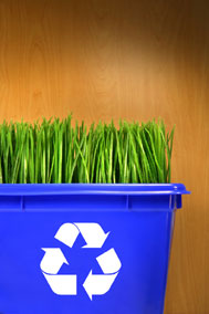 trash management for Green Environment