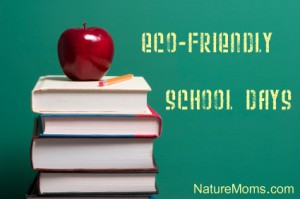 eco-friendly-school