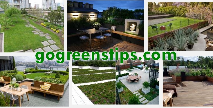Simple roof garden