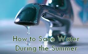 How to Save Water During the Summer