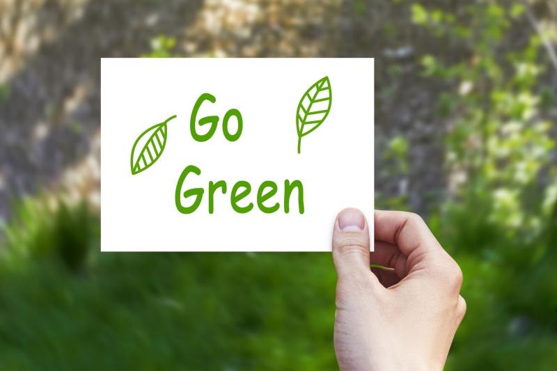 Green to Go: The Future of Sustainable Food Packaging